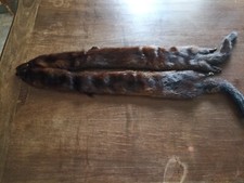 sciarpa di vero visone