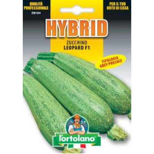 Zucchino leopard semi - leopard, in