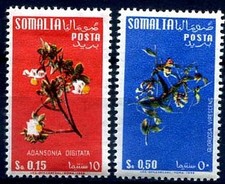 SOMALIA AFIS 1958 - FIORI