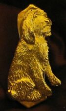 SPINONE ITALIANO, SPINONE