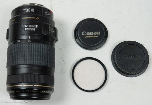 Canon 300mm 5 - canon, f/4-5.6