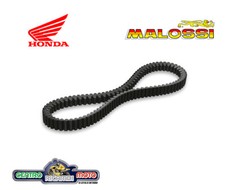 Cinghia Trasmissione Malossi