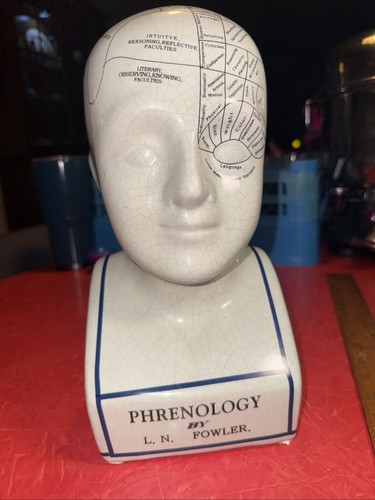 Busto testa frenologica