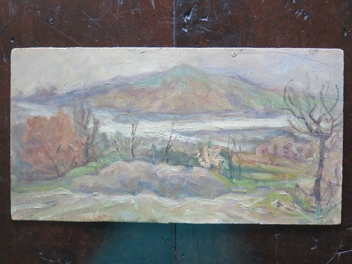 Quadro dipinto olio su - ad,