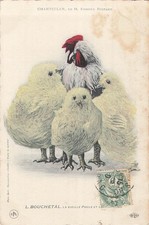 CP CHANTECLER EDMOND ROSTAND - BOUCHETAL VIEILLE POULE - TACHEE - 64846