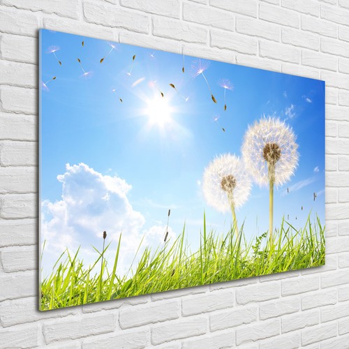 Tulup acrylic glass - tulup,