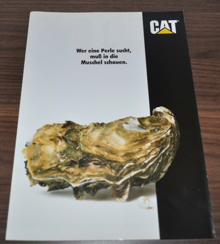 Brochure specifiche pala