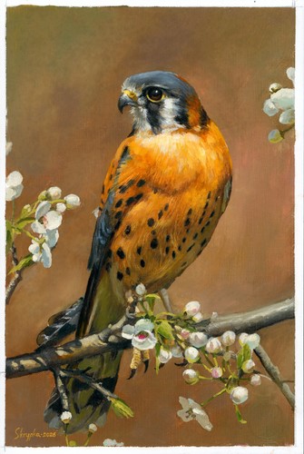 Quadro artistico 30 cm - quadro, 20