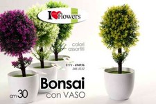 BONSAI ALBERO PIANTA PIANTINA