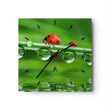 Orologio da Parete in Vetro