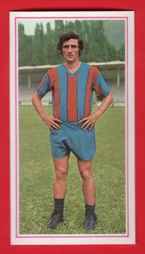 Figurina calciatori panini - figurina,