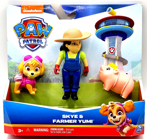 Paw patrol con personaggio sky - patrol,