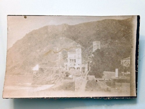 Foto albumina monterosso - foto,
