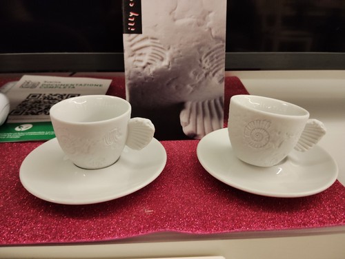 Illy collection fossile - illy,