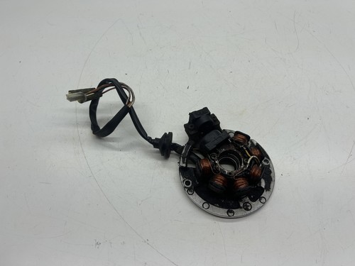 Statore alternatore magnete - statore,