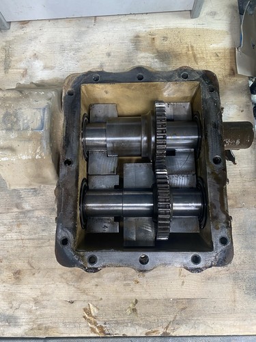 Wacker dpu agente patogeno - wacker,