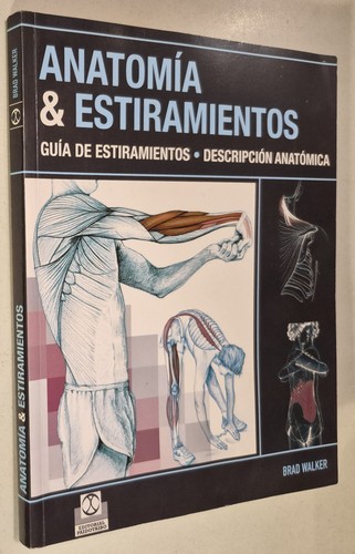 Anatomía estiramientos - anatomía,