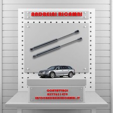 2 MOLLE A GAS BAGAGLIAIO AUDI