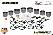 Kit revisione pinza freno