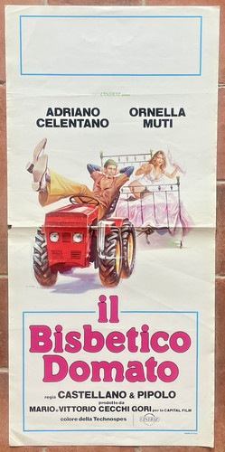 Locandina bisbetico domato - bisbetico,