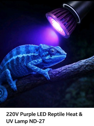 Lampada led rettili 220v - rettili,