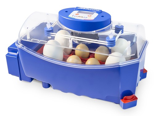 Incubatrice per uova abs - incubatrice,