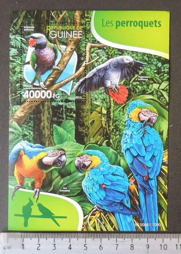 Guinea 2015 birds parrots