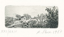 PESCE  ANTONIO " Casa di