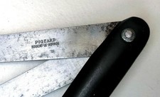 Vecchia fiamma da veterinario