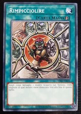 RIMPICCIOLIRE in Italiano