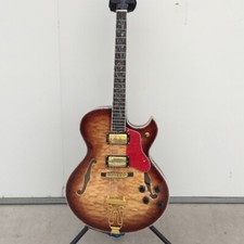 ES-175 Byrdland Chitarra elettrica Sunburst trapuntata acero top fiori intarsio jazz