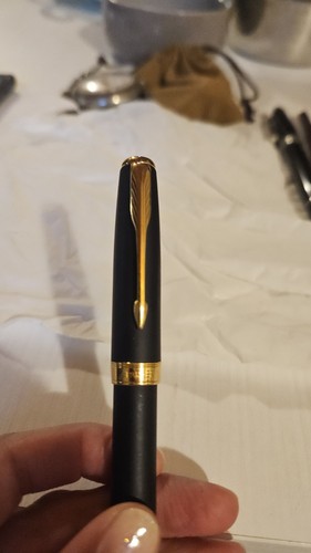 Waterman penna stilografica - penna,