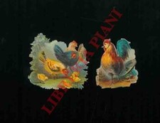 Ritagli cromolitografici - Galli e galline.