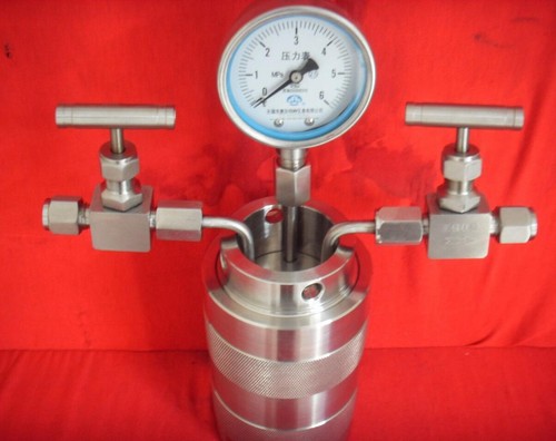 200ml sintesi idrotermica - 25-200ml,