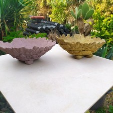 2 Vasi Per Bonsai Suiseki