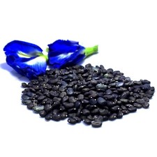 125+ Semi di Pea Farfalla