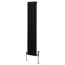 Termosifone Radiatore a 2