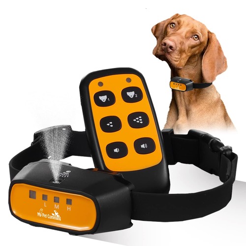 Pet command in 1 - command, 2