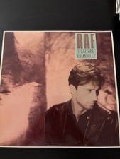 🎵 LP VINILE RAF |