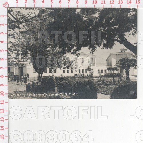 C9064 caserta sparanise - c9064,