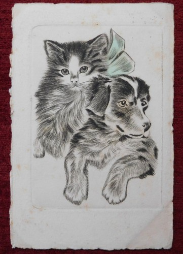 Cartolina artista animale - cartolina, /