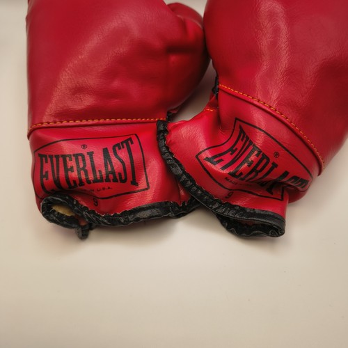 Guantoni boxe vintage - boxe,