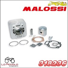 318236 CILINDRO MALOSSI 172CC
