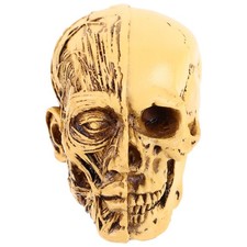  Medical Education Teschio