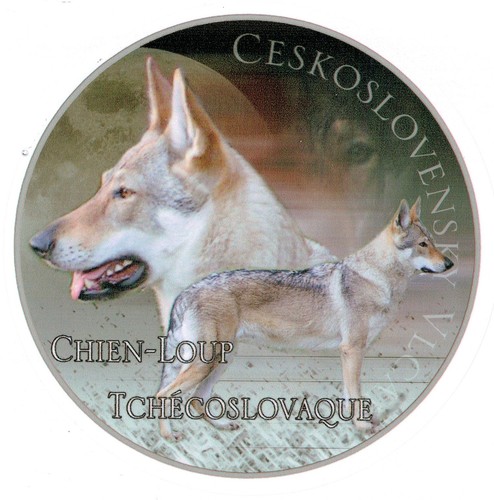 Adesivo design chien loup cane - adesivo,