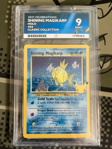 Pokemon tcg shining magikarp - pokemon,