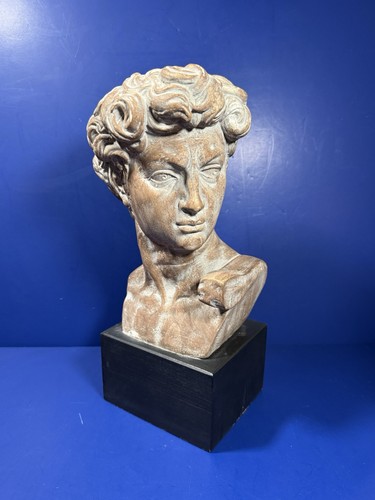 Vintage busto david austin - vintage, di