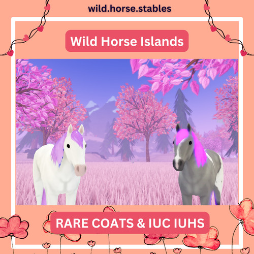Wild horse islands - horse,