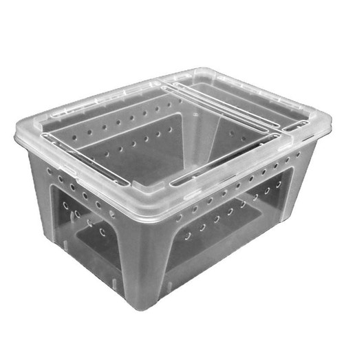 Contenitore forato trasparente - contenitore,