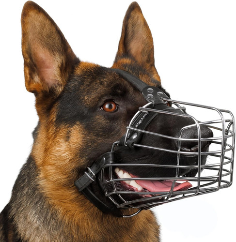 Museruola per cani - museruola, filo